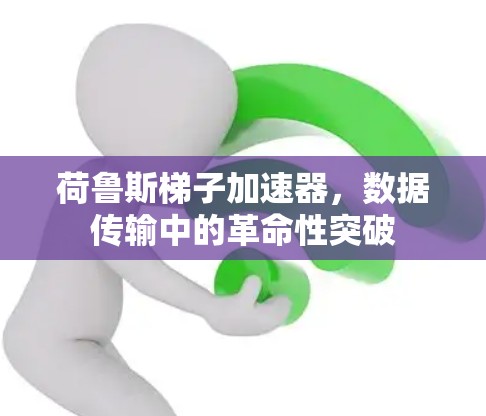 荷鲁斯梯子加速器，数据传输中的革命性突破