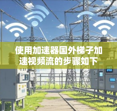 使用加速器国外梯子加速视频流的步骤如下