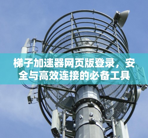 梯子加速器网页版登录，安全与高效连接的必备工具