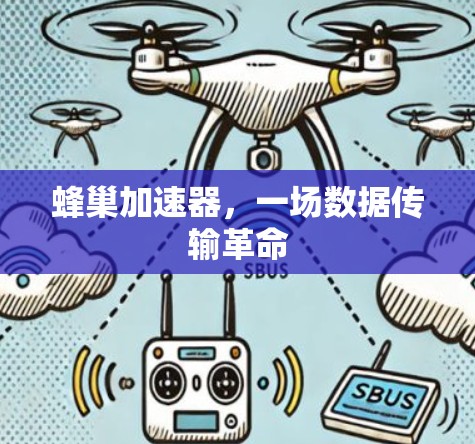 蜂巢加速器，一场数据传输革命