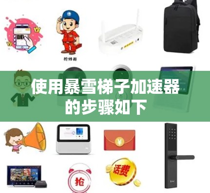 使用暴雪梯子加速器的步骤如下
