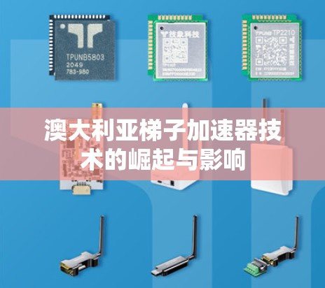 澳大利亚梯子加速器技术的崛起与影响