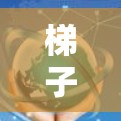 梯子加速器是一个涉及机械工程和搬运技术的术语，通常指一种设计或装置，用于在搬运梯子或梯子相关任务时更高效、更安全。以下是对这一概念的详细分析和解释