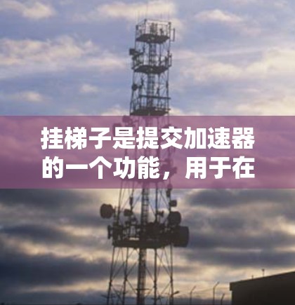 挂梯子是提交加速器的一个功能，用于在访问特定页面时挂上加速器，提供更好的加速体验。以下是详细的操作步骤