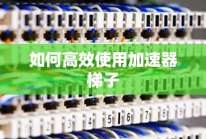 如何高效使用加速器梯子