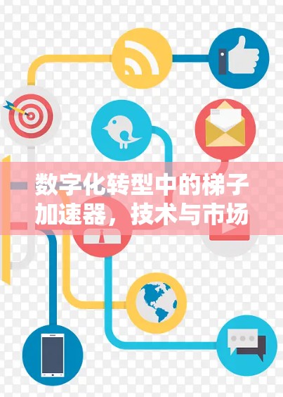 数字化转型中的梯子加速器，技术与市场的双重价值