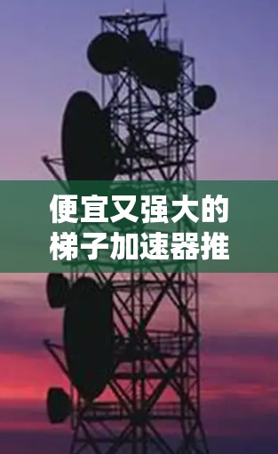 便宜又强大的梯子加速器推荐让你的直播带货更高效！