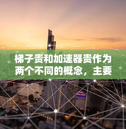 梯子贵和加速器贵作为两个不同的概念，主要区别在于它们在价格和功能上的特点。以下是它们的区别和分析