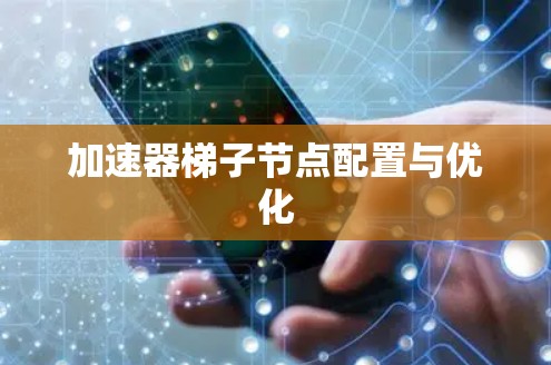 加速器梯子节点配置与优化