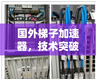 国外梯子加速器，技术突破与应用案例
