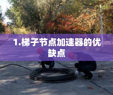 1.梯子节点加速器的优缺点