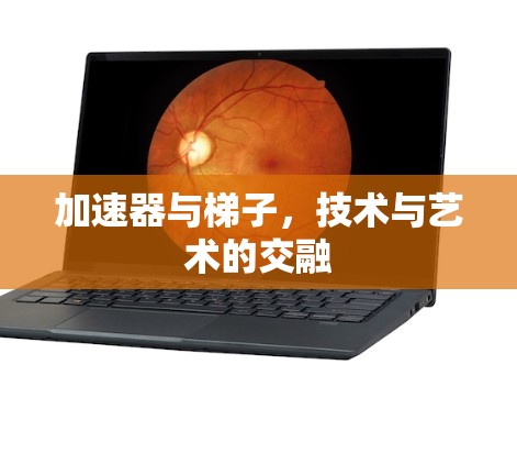 加速器与梯子，技术与艺术的交融