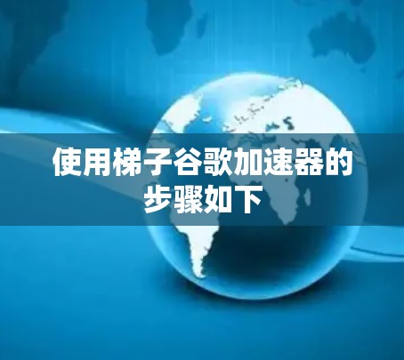 使用梯子谷歌加速器的步骤如下