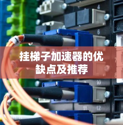 挂梯子加速器的优缺点及推荐