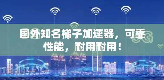 国外知名梯子加速器，可靠性能，耐用耐用！