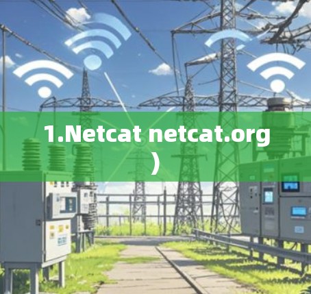 1.Netcat netcat.org)