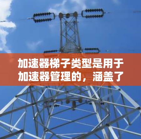 加速器梯子类型是用于加速器管理的，涵盖了多种设置类型，用户可以根据具体需求选择合适的设置。以下是主要的加速器梯子类型及其描述