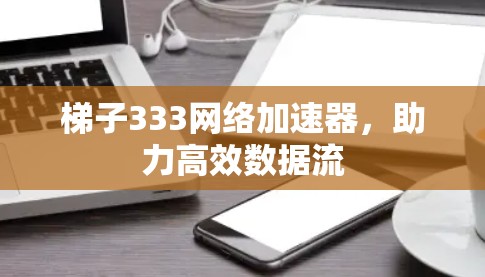 梯子333网络加速器,助力高效数据流