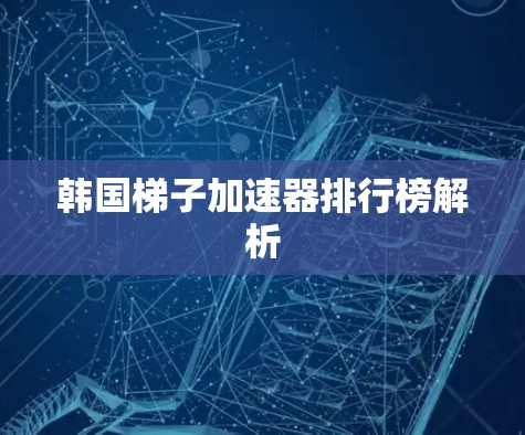 韩国梯子加速器排行榜解析