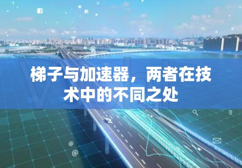 梯子与加速器，两者在技术中的不同之处