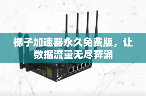 梯子加速器永久免费版，让数据流量无尽奔涌