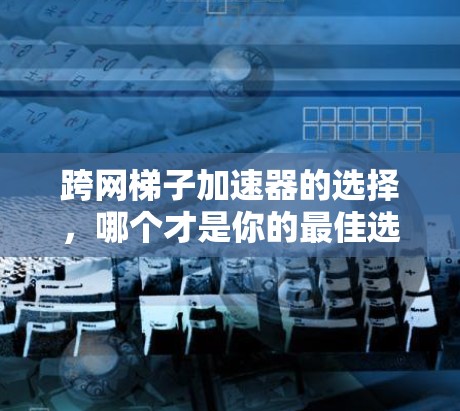 跨网梯子加速器的选择，哪个才是你的最佳选择？