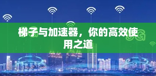 梯子与加速器，你的高效使用之道