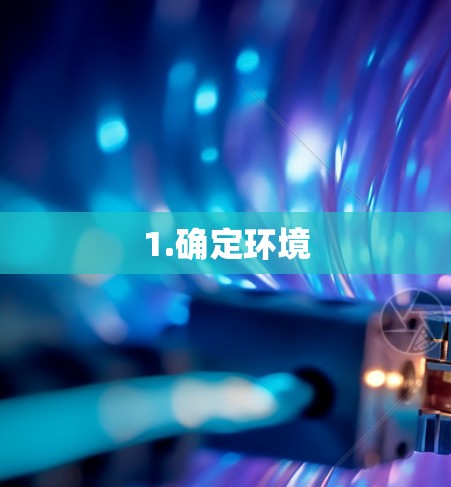 1.确定环境