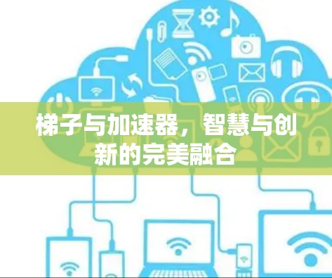 梯子与加速器，智慧与创新的完美融合