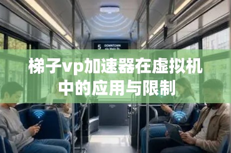 梯子vp加速器在虚拟机中的应用与限制