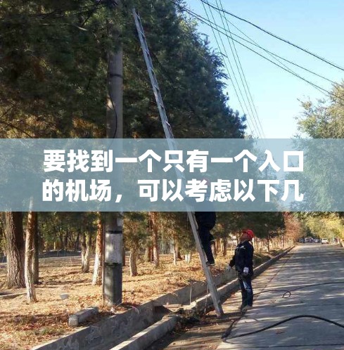 要找到一个只有一个入口的机场，可以考虑以下几种可能性