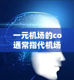 一元机场的co通常指代机场内的某个设施、服务或设备，或者是某个特定合作关系的代号。具体含义可能包括