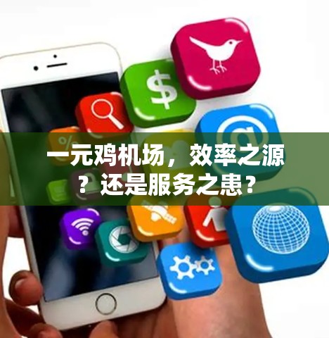 一元鸡机场,效率之源?还是服务之患?