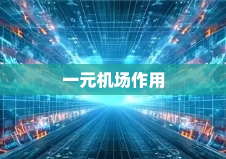 一元机场作用