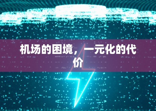机场的困境，一元化的代价