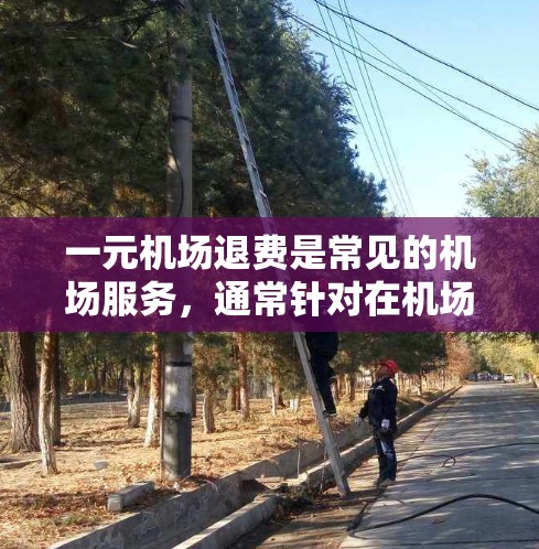 一元机场退费是常见的机场服务，通常针对在机场停留过且无行李的旅客。以下是详细的步骤和注意事项