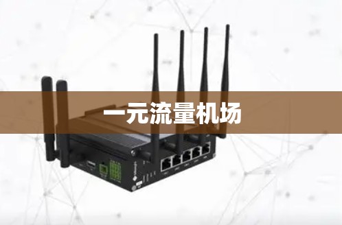 一元流量机场