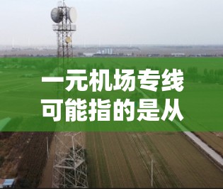 一元机场专线可能指的是从机场出发的一元票价或专列线。具体信息取决于机场和线路的设置。以下是一些可能的解释和建议
