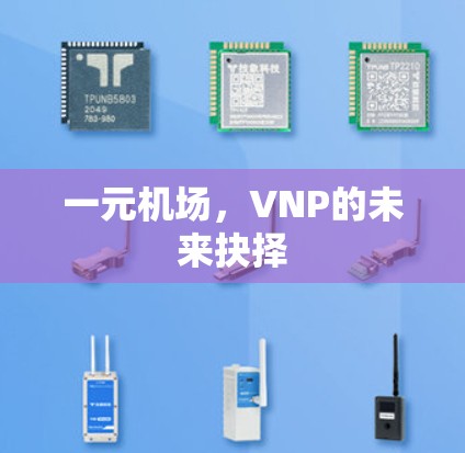 一元机场，VNP的未来抉择