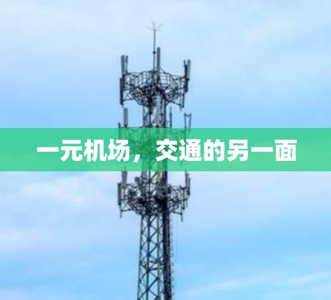 一元机场，交通的另一面