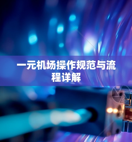 一元机场操作规范与流程详解