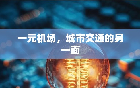 一元机场，城市交通的另一面