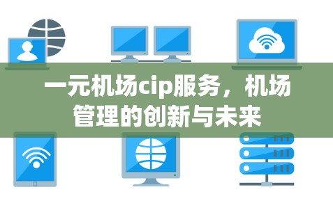 一元机场cip服务，机场管理的创新与未来