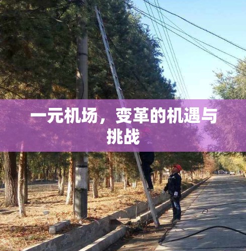 一元机场，变革的机遇与挑战