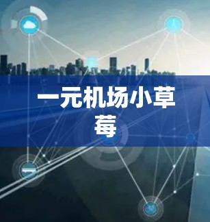 一元机场小草莓