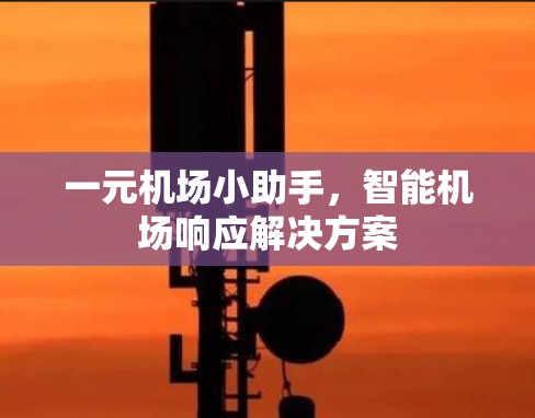 一元机场小助手，智能机场响应解决方案