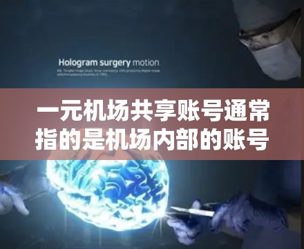 一元机场共享账号通常指的是机场内部的账号管理方式，旨在为旅客提供便捷的登录和使用服务。以下是一元机场共享账号的基本流程和注意事项