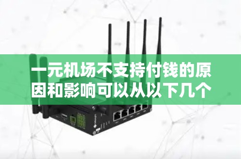一元机场不支持付钱的原因和影响可以从以下几个方面进行分析