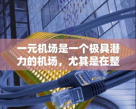 一元机场是一个极具潜力的机场，尤其是在整合资源、提升管理效率和满足旅客需求方面。以下是对一元机场永久节点的详细分析