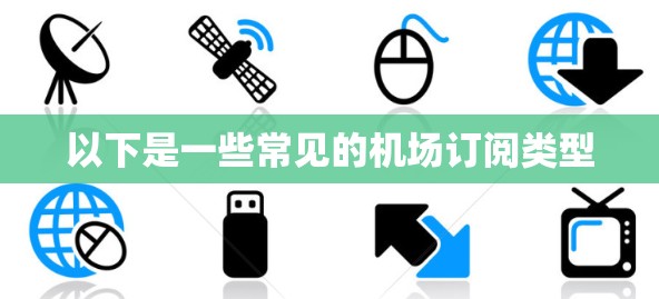 以下是一些常见的机场订阅类型